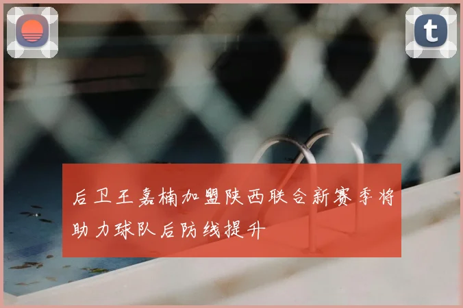 后卫王嘉楠加盟陕西联合新赛季将助力球队后防线提升