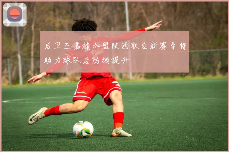 后卫王嘉楠加盟陕西联合新赛季将助力球队后防线提升